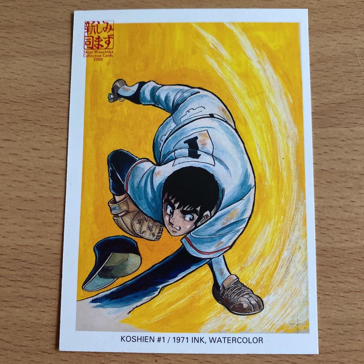 長府甲子園　　「おおきなどうぶつ 」カバー付き　水島新司 Amazon.co.jp: 水島新司の世界 ドカベン＆大甲子園(サンエイムック